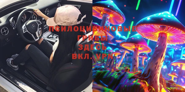 гидропоника Нязепетровск