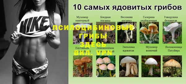 твердый Осинники